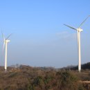 풍력발전소 이미지