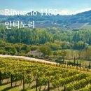 1180 | 이탈리아 피렌체 안티노리 와이너리 예약없이 워크인 / 리누치오 1180 레스토랑 이용후기