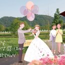 (주)태화여행사