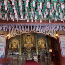 중문오렌지파크 이미지