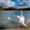 도둑과시인 이미지