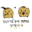상고렴 사거리 | [오늘예쁘다]곡반정동 속눈썹 맛집❤️내눈보고 내가반함✨수원 속눈썹펌 잘하는곳