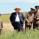선은농장(1) 이미지