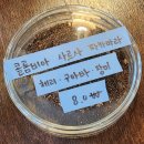 레이커피바 이미지