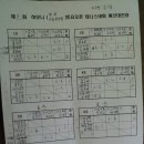다솜한의원 Daum카페