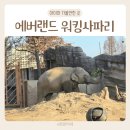 코끼리비스켓 | 에버랜드 로스트밸리 워킹사파리 한달 도보체험 주말 후기