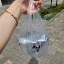 익산 모현동 설빙 신상 과일흠뻑화채설빙으로 더위 타파한 후기