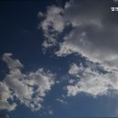 엘앤피클린