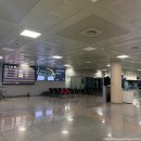 씨유 서귀포동문중앙점 | 4월 제주도 3박4일여행, 1~2일차 (노형슈퍼마켙, 흑돼지, 동문시장, 우도 당일치기, 서귀포 올레시장)