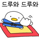 용인유도체육관 이미지