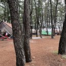 구산오토캠핑장 이미지