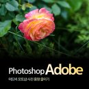 스마트폰과 포토샵활용 이미지