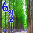 유월의기쁨