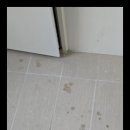 클린케어 이미지