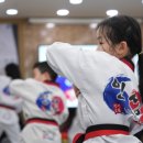 유아태권도 이미지