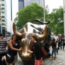 황소밧데리 이미지