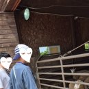 해솔목장 이미지