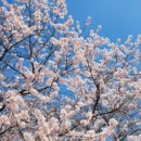 서운체육공원 (계양체육관) 이미지