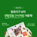 이미지덴탈 이미지