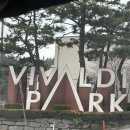 체크인독 | 애견동반 소노펫 홍천 숙박 후기 대명 비발디파크 주차 위치 및 체크인 전과정 체크인 전 꼭 이거보고...