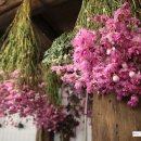 나박실식당 이미지