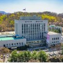 싱글싱글 이미지