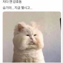 쇼팽피아노학원 네이버블로그