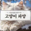 동물보육원평택지부