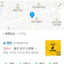 캣존 이미지