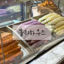 스위트 하우스 | 연남동빵집 디저트 맛집 몰리하우스 고터 신세계백화점 스위트파크 팝업스토어 다녀온 후기