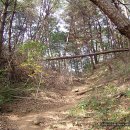 부일청소년수련원 이미지