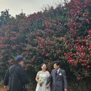 레깅스PC | 제주 리마인드 웨딩 스냅+가족사진 후기 2탄-로코코스튜디오(결과물,업체추천,제주 겨울웨딩스냅, 제주...