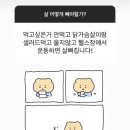 제나키친 이미지