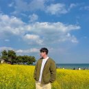 울산 가볼만한곳 슬도 유채꽃 4월 봄 꽃구경 축제 후기