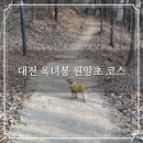 원앙초등학교 이미지