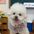 멍앤미 이미지