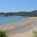 의항해수욕장 입구 이미지