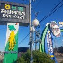 김포파주인삼농협인삼유통센터 | 김포 농협 인삼 홍삼판매장 인삼쌀맥주갤러리 홍보관 둘러보기