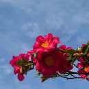 우리만물센터 이미지