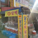 83돼지 이미지
