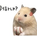 초읍치과의원 네이버블로그
