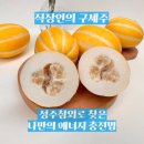 직장인의 구세주 성주참외로 찾은 나만의 에너지 충전법