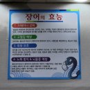 진안마이산장어 이미지