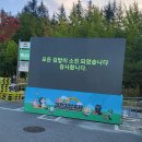 왔다김밥 이미지