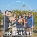 호박꽃노래연습장 | 제주 감귤 귤따기 체험 제주도 서귀포 동백꽃 명소 추천 파더스가든