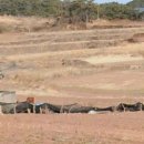 대곡면-7 이미지