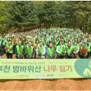 더푸른세상 이미지