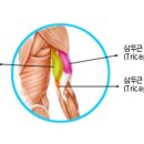 몬스터 짐 이미지