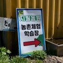 [지월농원] 철인삼녀 가족 캠크닉 레크레이션 게임