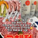고해정